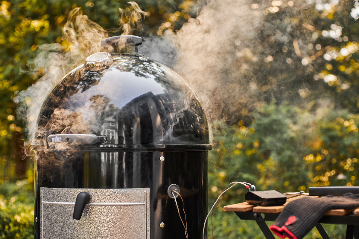 Mountain smoker outlet